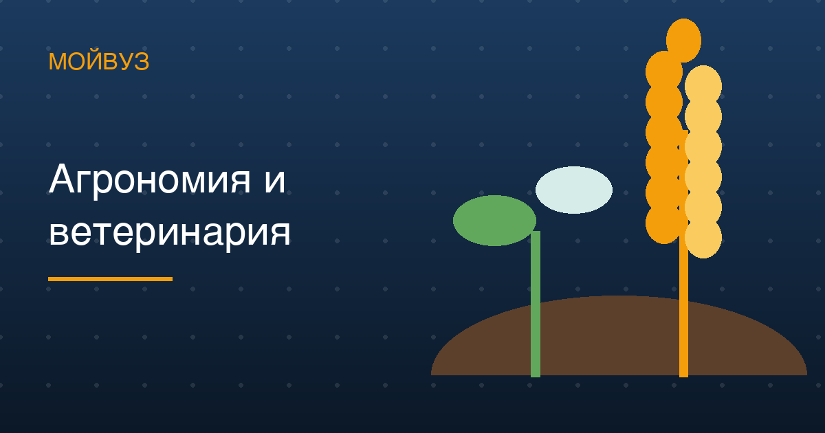 Агрономия и ветеринария: 73 % бюджета и проходной 155 баллов