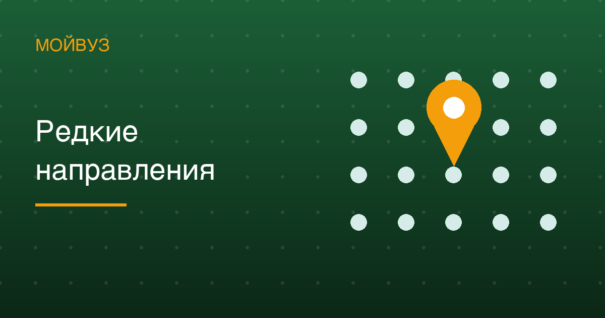 Тринадцать направлений есть ровно в одном вузе страны, а экономику преподают в 720