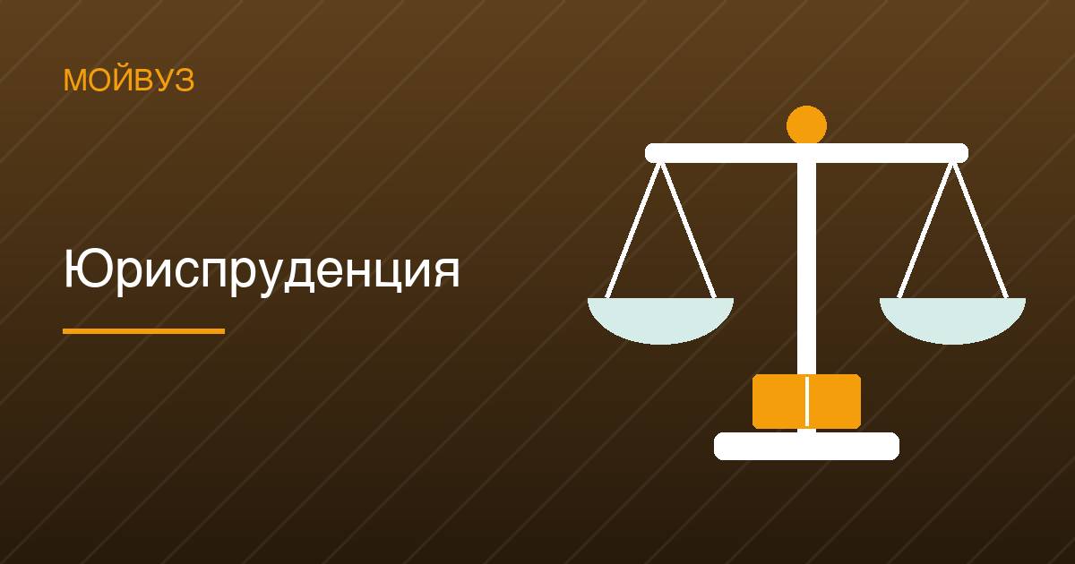 Юриспруденция: 2 055 программ, бюджет — одно место из шести и проходной от 236 баллов